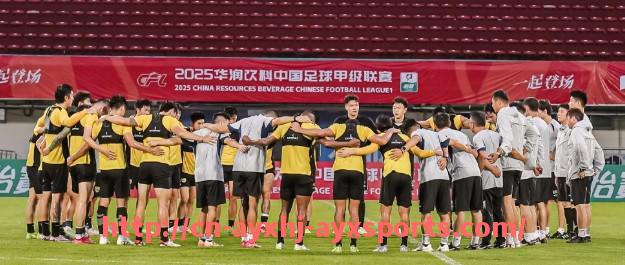 爱游戏体育-德甲球队经济分析：财务状况与商业模式