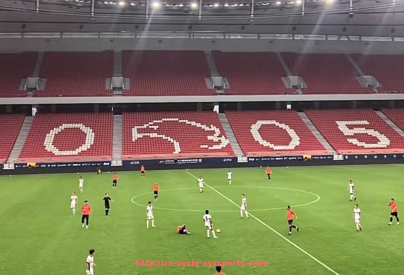 爱游戏体育-法甲外援转会最新动态及市场走向分析