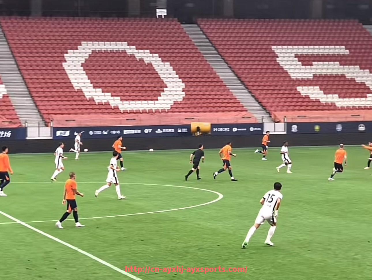 爱游戏体育-意甲足球队大佬及俱乐部高层权力分析