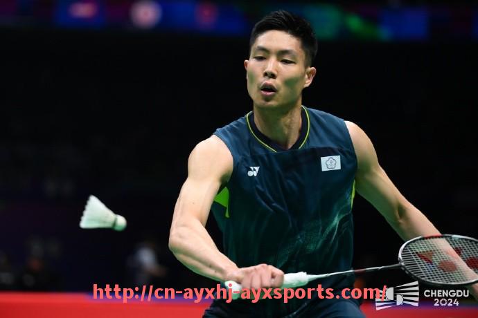 爱游戏体育-2017年NBA火箭队的比赛表现及关键事件